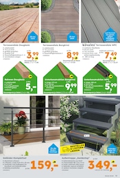 Terrassendielen Angebot im aktuellen Globus-Baumarkt Prospekt auf Seite 13