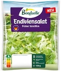 Aktuelles Endiviensalat oder Kopfsalat Angebot bei REWE in Hannover ab 1,79 €