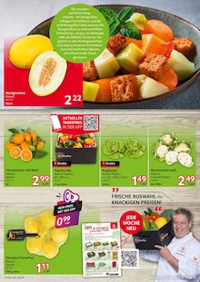 Blumenkohl im Selgros Prospekt "cash & carry" mit 24 Seiten (Essen)