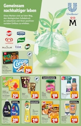 Coral Angebot & Preis im aktuellen REWE Prospekt Coral Angebot im aktuellen REWE Prospekt auf Seite 29
