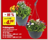 toom Baumarkt Schöngeising Prospekt mit  im Angebot für 4,99 €