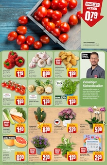 Pflanzen im aktuellen REWE Prospekt (Düsseldorf) Pflanzen im REWE Prospekt "Dein Markt" mit 30 Seiten (Düsseldorf)