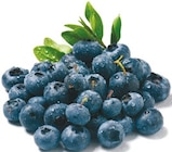 Netto mit dem Scottie Dessau-Roßlau Prospekt mit  im Angebot für 2,79 €