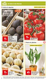 Plantes Angebote im Prospekt "SEMAINE 4 L'ANNIV NETTO" von Netto auf Seite 8