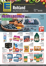 EDEKA Prospekt für Borsdorf mit 4 Seiten EDEKA Prospekt "Wir lieben Lebensmittel!" für Borsdorf, 4 Seiten, 01.12.2025 - 06.12.2025