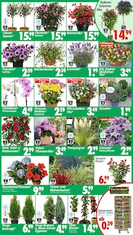 Oliven im Wreesmann Prospekt "DEIN SAISON- & SONDERPOSTENMARKT!" mit 16 Seiten (Dresden)