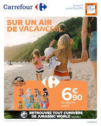 Catalogue Carrefour "SUR UN AIR DE VACANCES" à Sabres et alentours, 21 pages, 17/06/2025 - 30/06/2025