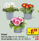 toom Baumarkt Sonneberg Prospekt mit  im Angebot für 1,29 €