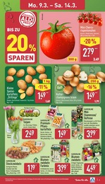 Bio Champignons im ALDI Nord Prospekt LIEBLINGE UNSERER REGION auf S. 5