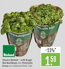 Aktuelles Bio Basilikum Angebot bei Marktkauf in Stuttgart ab 1,59 €
