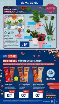 Garten Angebot im ALDI SÜD Prospekt, gültig von 30.01.2023 bis 04.02.2023 Garten Angebot im aktuellen ALDI SÜD Prospekt auf Seite 15
