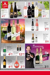 Rotwein Angebot im aktuellen Selgros Prospekt auf Seite 20