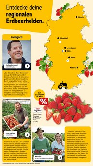 Erdbeeren im aktuellen REWE Prospekt (Bergisch Gladbach) Erdbeeren im REWE Prospekt "Dein Markt" mit 34 Seiten (Bergisch Gladbach)