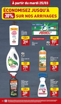 Promo Décoration Extérieure dans le catalogue Aldi du moment à la page 22