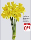 Englische Narzissen bei EDEKA im Schöllkrippen Prospekt für 0,99 €