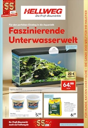 Lachs Angebot im aktuellen Hellweg Prospekt auf Seite 9