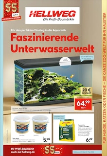 Lachs im Hellweg Prospekt "Lieblingsplatz" mit 20 Seiten (Essen)