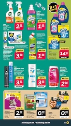 Waschmittel Angebot & Preis im aktuellen Netto mit dem Scottie Prospekt Waschmittel Angebot im aktuellen Netto mit dem Scottie Prospekt auf Seite 13