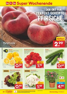 Zitronen im Netto Marken-Discount Prospekt "Aktuelle Angebote" mit 61 Seiten (Bielefeld)
