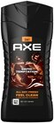 Dark Temptation Duschgel Angebote von Axe bei REWE Wolfenbüttel für 2,49 €