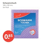 Aktuelle Schwamm Angebote bei V-Markt in München Aktuelles Schwammtuch Angebot bei V-Markt in München ab 0,85 €