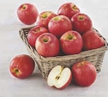 Promo Pomme Pink Lady à 1,99 € dans le catalogue U Express à Guebwiller