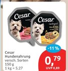 Hundenahrung von Cesar für 0,79 € bei budni im Angebot Hundenahrung von Cesar im aktuellen budni Prospekt