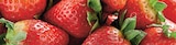 Fraise Ronde à Intermarché Super dans Fécamp Fraise Ronde à Intermarché Super dans Fécamp