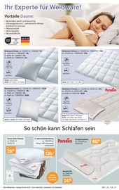 Bettdecke im Opti-Wohnwelt Prospekt in Neubrandenburg Aktueller Opti-Wohnwelt Prospekt mit Bettdecke, "Traumhaft Schlafen", Seite 19