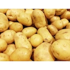 Pomme de terre de consommation - SIMPL en promo chez Carrefour Pomme de terre de consommation - SIMPL dans le catalogue Carrefour