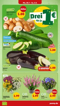 Blumen im aktuellen Penny Prospekt (Heilbronn) Blumen im Penny Prospekt "Wer günstig will, muss Penny." mit 34 Seiten (Heilbronn)