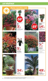 Promos Plante Verte dans le catalogue "Super U" de Super U Plante Verte en promo dans le catalogue Super U à la page 18