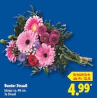 Aktuelle Blumen Angebote bei Lidl in Berlin Aktuelles Bunter Strauß Angebot bei Lidl in Berlin ab 4,99 €