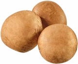Champignons im Angebot bei EDEKA in Hamm Champignons Angebote bei EDEKA Hamm für 2,49 €