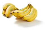 Bananen, lose Angebote von Bio-Fairtrade bei Lidl Lingen für 1,99 €