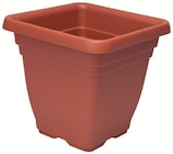 Aktuelle Blumentopf Angebote bei Wreesmann in Dresden Aktuelles Blumentopf Angebot bei Wreesmann in Dresden ab 9,99 €