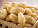 Pomme de terre de consommation - Intermarché Super à Niort Pomme de terre de consommation en promo chez Intermarché Super Niort à 2,99 €