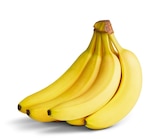 Bananen bei Penny im Dettenhausen Prospekt für 1,11 €