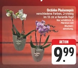 Orchidee Phalaenopsis Angebote bei EDEKA Fürth für 9,99 €