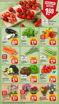 Blumen im REWE Prospekt "Dein Markt" mit 16 Seiten (Freiburg (Breisgau))