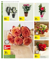 Offre Dipladenia dans le catalogue Carrefour du moment à la page 80