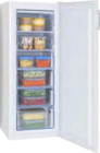 Aktuelle Kühlschrank Angebote bei expert in Neustadt (Rübenberge) Aktuelles Gefrierschrank GS 324 100 W Angebot bei expert in Neustadt (Rübenberge) ab 299,00 €