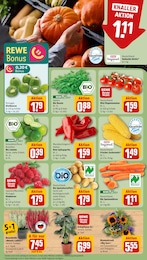 Schnittblumen Angebot im aktuellen REWE Prospekt auf Seite 7