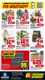 Aktueller B1 Discount Baumarkt Prospekt mit Blumen, "BESTPREISE DER WOCHE!", Seite 8