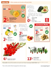 Promos Fleurs dans le catalogue "LES TOPS" de Auchan Hypermarché Fleurs en promo dans le catalogue Auchan Hypermarché à la page 18