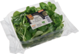 Bio-Feldsalat im tegut Prospekt Bio-Feldsalat von tegut im aktuellen tegut Prospekt für 1,99 €