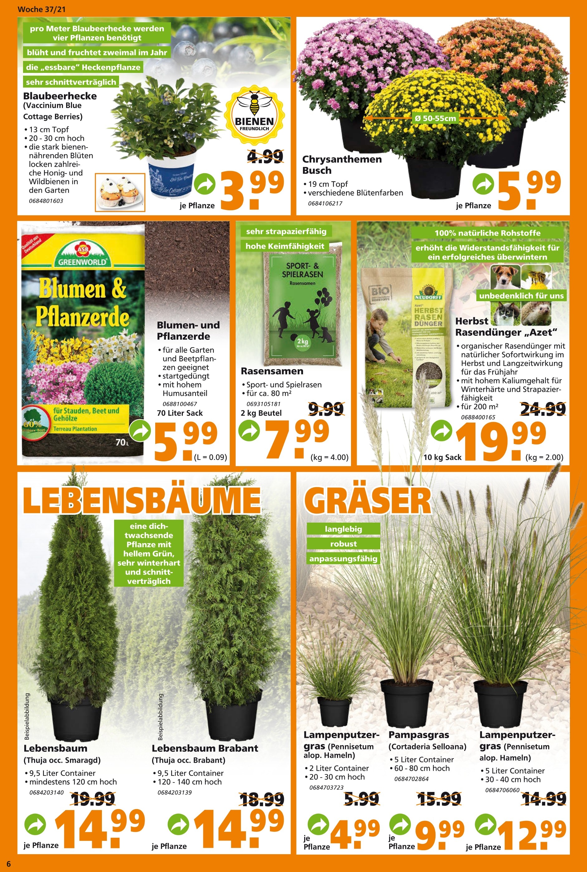 Lidl Rasensamen Angebot ᐅ Finde den Preis im aktuellen Prospekt