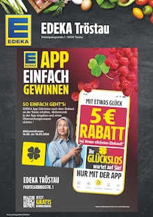 Aktueller EDEKA Prospekt "Wir lieben Lebensmittel!" für Tröstau Aktueller EDEKA Prospekt für Tröstau mit Seiten