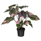 Topfpflanze, künstlich drinnen/draußen Philodendron/grün/rosa von FEJKA für 14,99 € bei IKEA im Angebot Topfpflanze, künstlich drinnen/draußen Philodendron/grün/rosa von FEJKA im aktuellen IKEA Prospekt