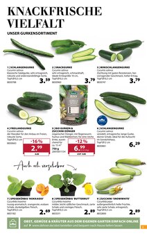 Gemüse im aktuellen Dehner Garten-Center Prospekt (Duisburg) Gemüse im Dehner Garten-Center Prospekt "SOMMER MEDITERRAN" mit 16 Seiten (Duisburg)